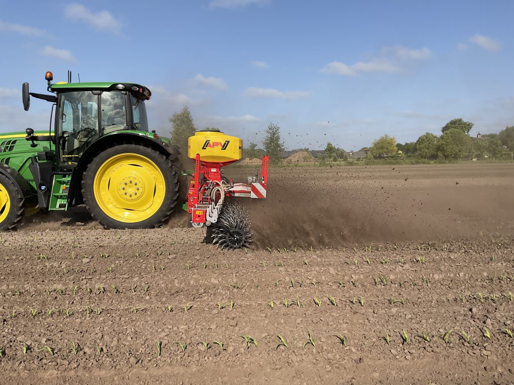 Mechanische onkruidbestrijding in de mais - GEDO.nl